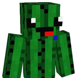 TomasDrab Minecraft avatar bust