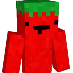 TomasTomado Minecraft avatar bust