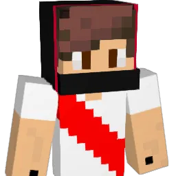 Tomasmartinc Minecraft avatar bust