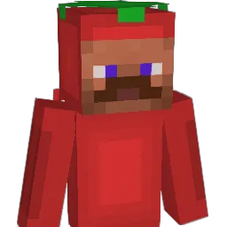 Tomate2206 Minecraft avatar bust