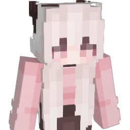 TomateConSal Minecraft avatar bust