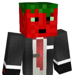 Tomato1336 Minecraft avatar bust