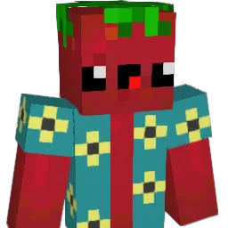 Tomatochip11 Minecraft avatar bust