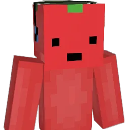Tomatowhy Minecraft avatar bust