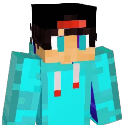 TomerGnes Minecraft avatar bust