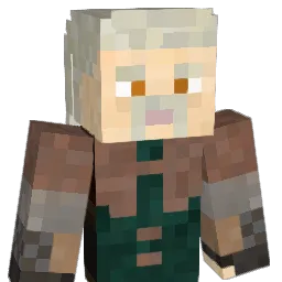 TomerMC57 Minecraft avatar bust
