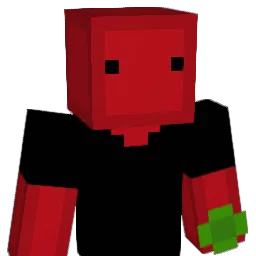 TomerTomer Minecraft avatar bust