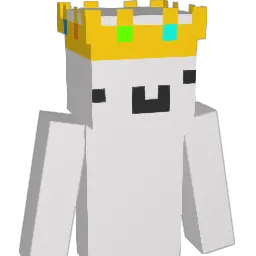 Tomerrr267 Minecraft avatar bust