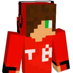 Tomix2417 Minecraft avatar bust