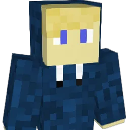 Tomkanalless Minecraft avatar bust