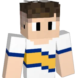TomuBJ Minecraft avatar bust
