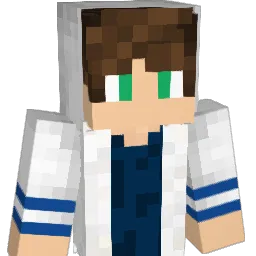 Tomytoz Minecraft avatar bust