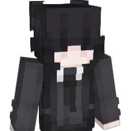 Tomyy0010's Minecraft skin