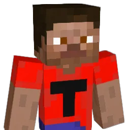 Toney19 Minecraft avatar bust