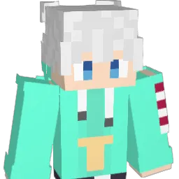 Tongtong2335 Minecraft avatar bust