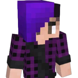 TonkyP Minecraft avatar bust