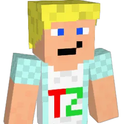 Tonton_ZicC Minecraft avatar bust