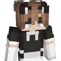 TonyHawk7321 Minecraft avatar bust