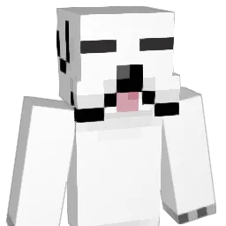 TooNoir Minecraft avatar bust