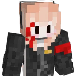 TooPoorToBuyGame Minecraft avatar bust