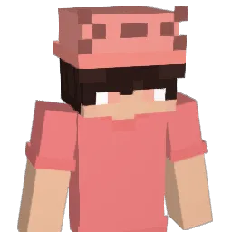 ToobValid Minecraft avatar bust