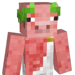 Tooby2010 Minecraft avatar bust