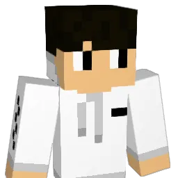 Toofyy11 Minecraft avatar bust