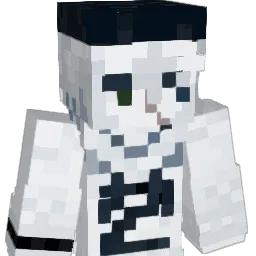 ToonFan2106 Minecraft avatar bust
