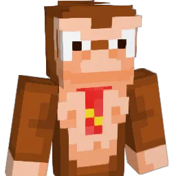 TopNyyppa Minecraft avatar bust
