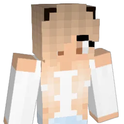 Torchick6 Minecraft avatar bust