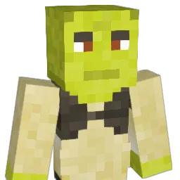 Toritin16 Minecraft avatar bust