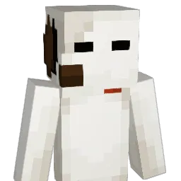 TornadeLeNoir Minecraft avatar bust
