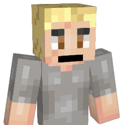 Tortilla5 Minecraft avatar bust