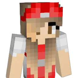 Tortilla5K Minecraft avatar bust