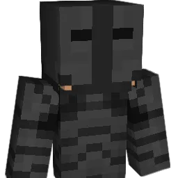 TortillaKnight98 Minecraft avatar bust