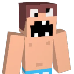 Tortillax3 Minecraft avatar bust