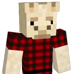 Toshiro1822 Minecraft avatar bust