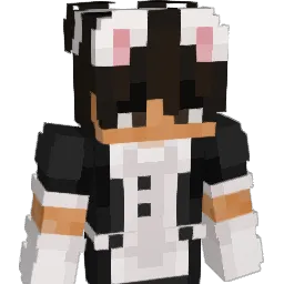 Totoken's Minecraft skin