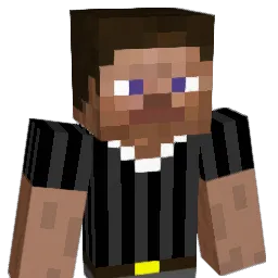 Town_Name Minecraft avatar bust