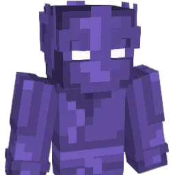 ToxicArg_ Minecraft avatar bust