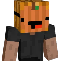 ToxicFri3nds Minecraft avatar bust