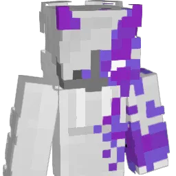 Toxy__ Minecraft avatar bust