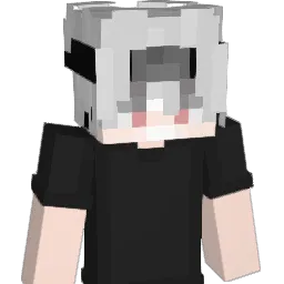 TraderZoom's Minecraft skin