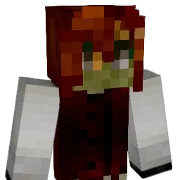 Traill11 Minecraft avatar bust
