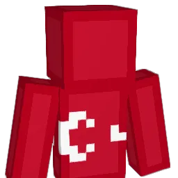 Trained_1 Minecraft avatar bust