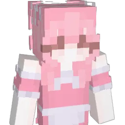 Transportin Minecraft avatar bust