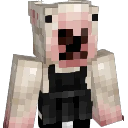 Trashman8934 Minecraft avatar bust