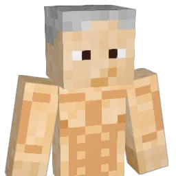 Traveivis Minecraft avatar bust