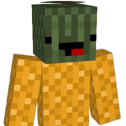 Tropicalxskull Minecraft avatar bust