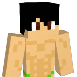 Troyeur Minecraft avatar bust